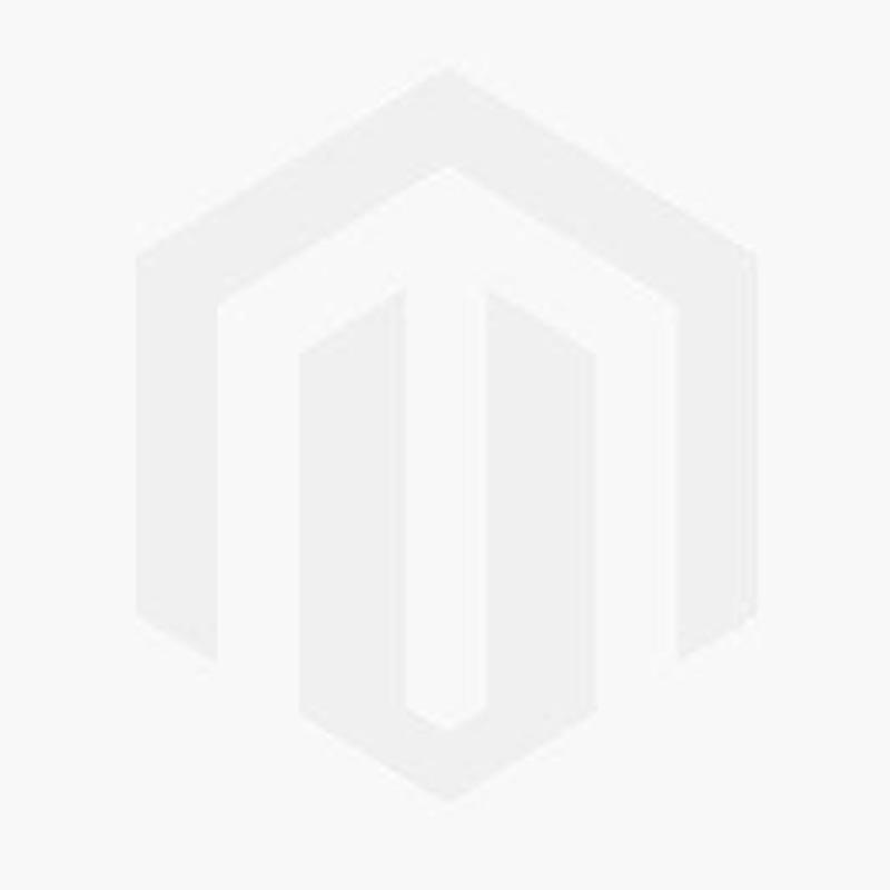 EINHELL GP-LB 18/2 CORDLESS BLOWER