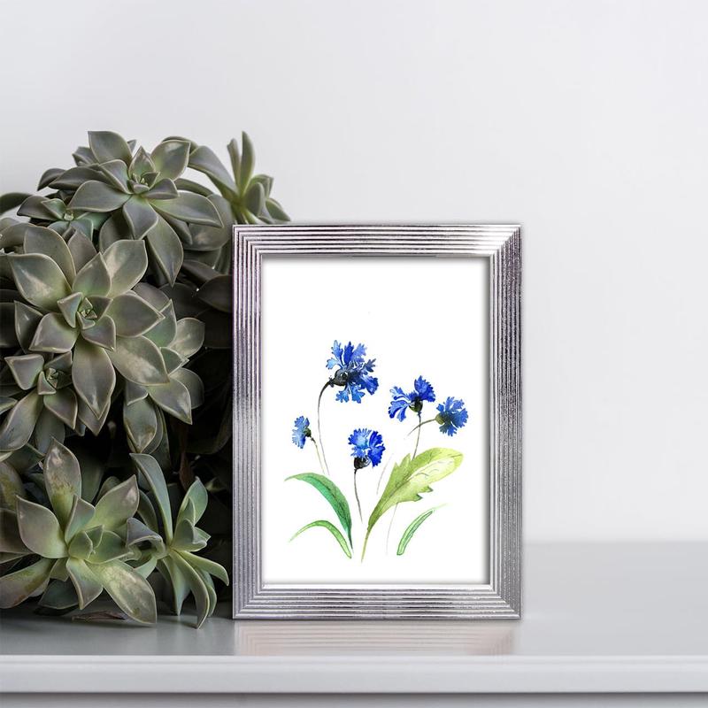 WHITE AND SILVER STRIPED FRAME 13X18 CM