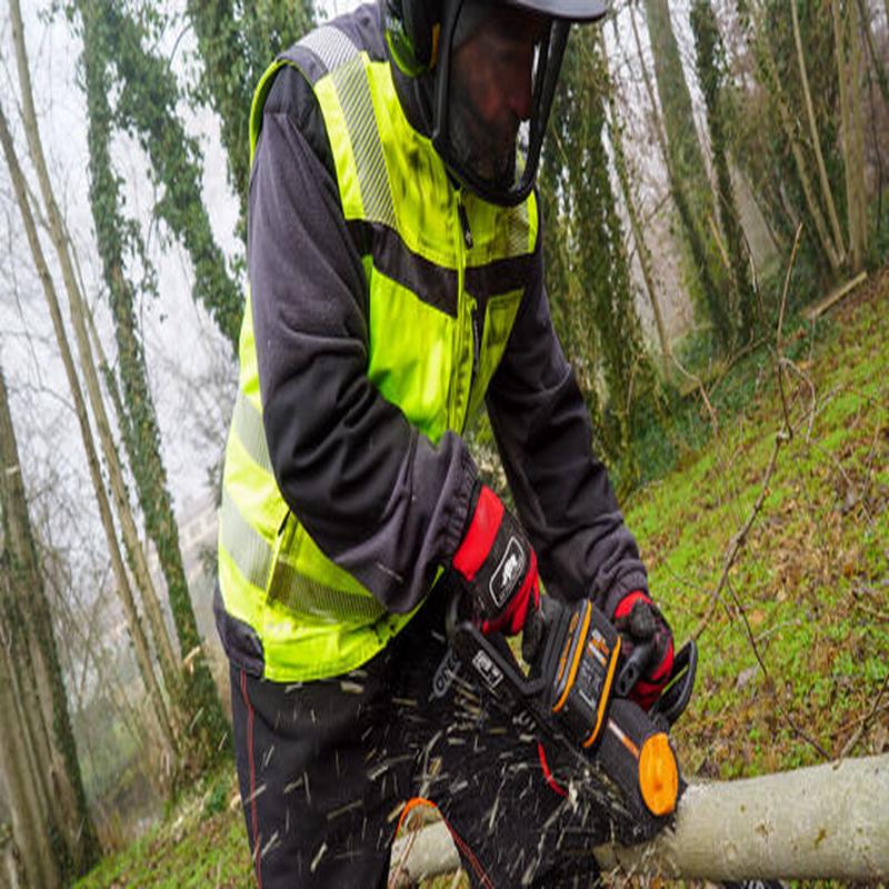 ELETTROSEGA A BATTERIA 20V WORX NITRO WG