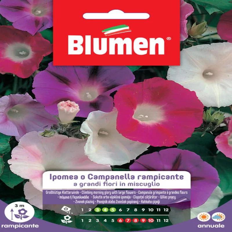 HYPOMEA BELLS.RAMPIC. MIX