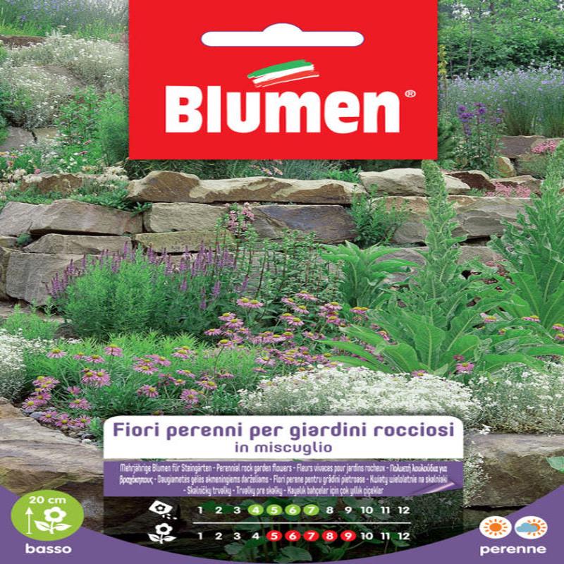 EV FLOWERS PERENNIAL GIAR.ROCC. -