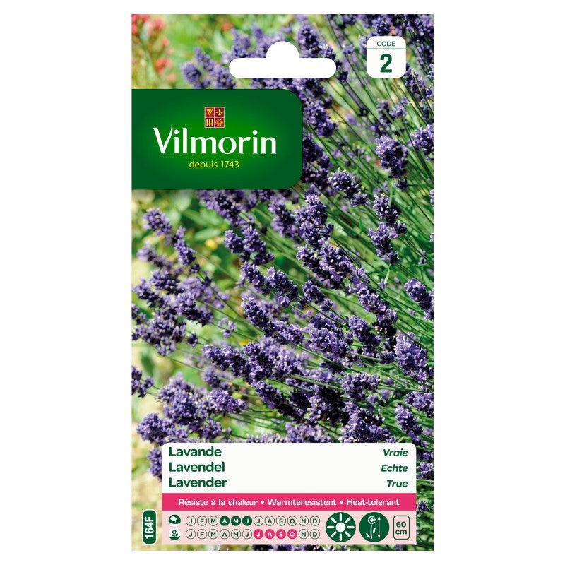 LAVENDER VLI 2 305I