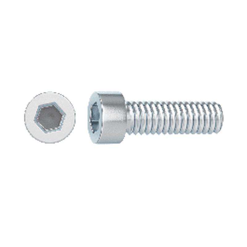10 SCREWS T.CYLINDRICAL HEX. A.ZINC. 6X20