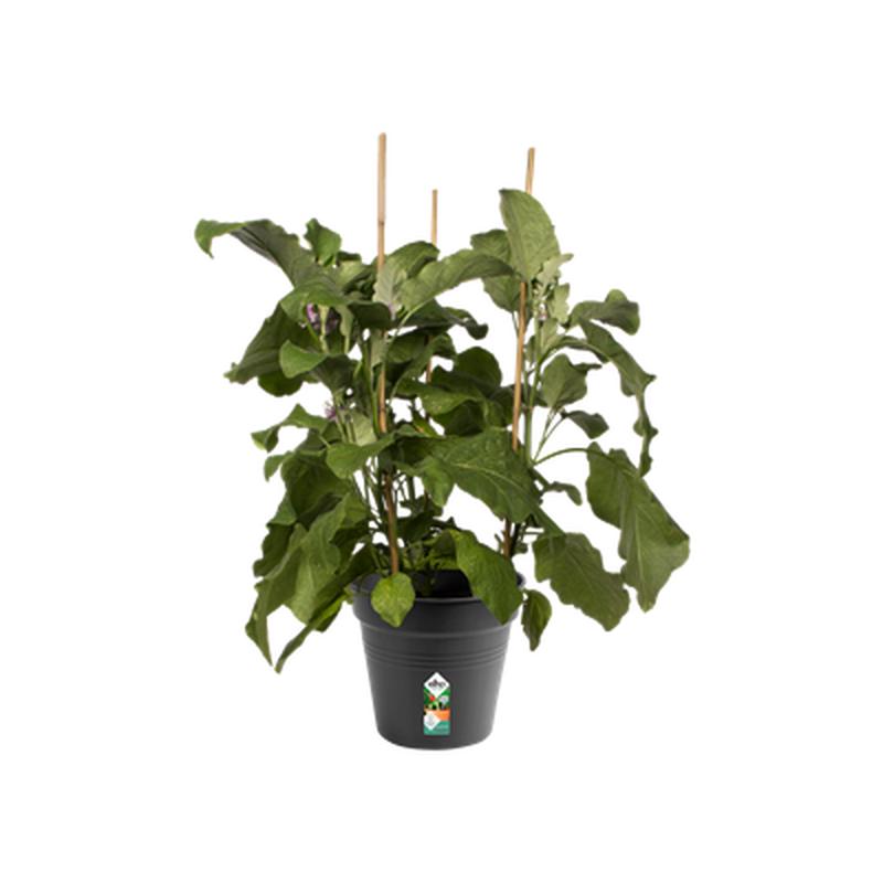 BASIC VASE 21CM BLACK LIVING