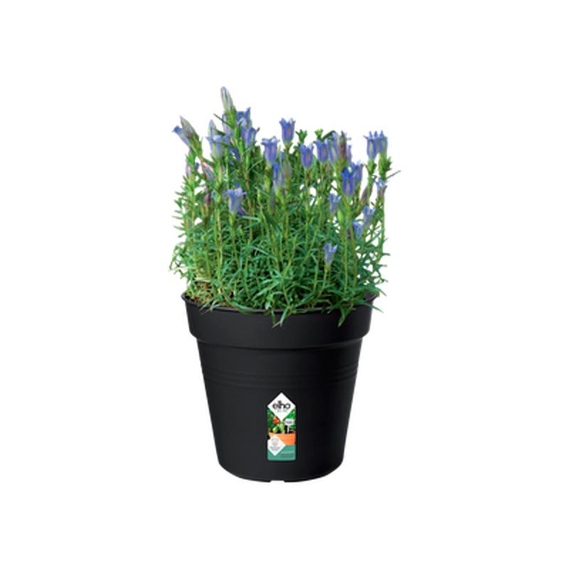 BASIC VASE 17CM BLACK LIVING