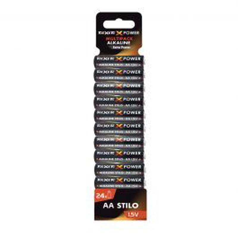24 AA REXER ALKALINE BATTERY