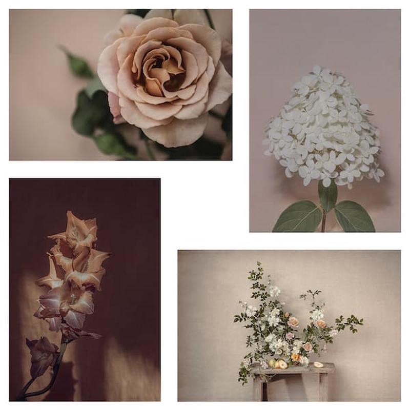 YLLEVAD art card, flowers-blooming, 10x15 cm